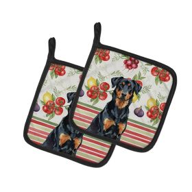 Beauceron Vegetables Pair of Pot Holders Pair 7.5x7.5 Quilted Insulated Hot Pads Decorative Kitchen Gift Made in USA