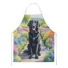 Flat-Coated Retriever Spring Path Apron Cooking Kitchen Server Baking Crafts Gardening for Adult Women Men, Unisex, Large, Multicolor