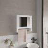 Beaver Medicine Cabinet with 1 Door, 2 Shelves, 1 Mirror