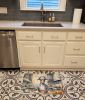Greyhound The Chef Memory Foam Kitchen Mat Machine Washable Anti-Fatigue Mat Cushion Comfort Bath Mat or Kitchen Rug